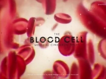 红细胞医疗医学主题的内容展示开场