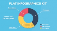 AE模板-扁平化商务信息数据图表展示MG动画 Flat Infographics